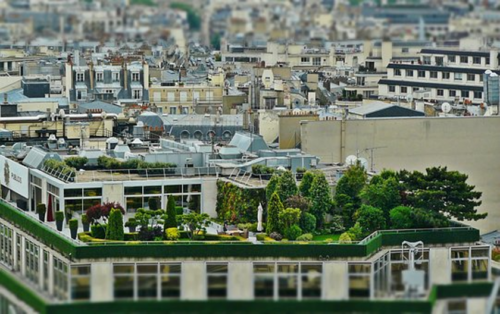 Urban Gardening