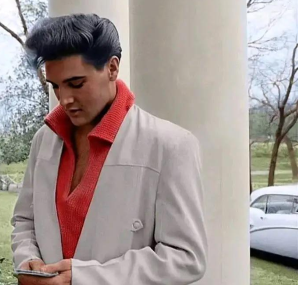 Was Elvis a Twin? Uncovering the Mystery