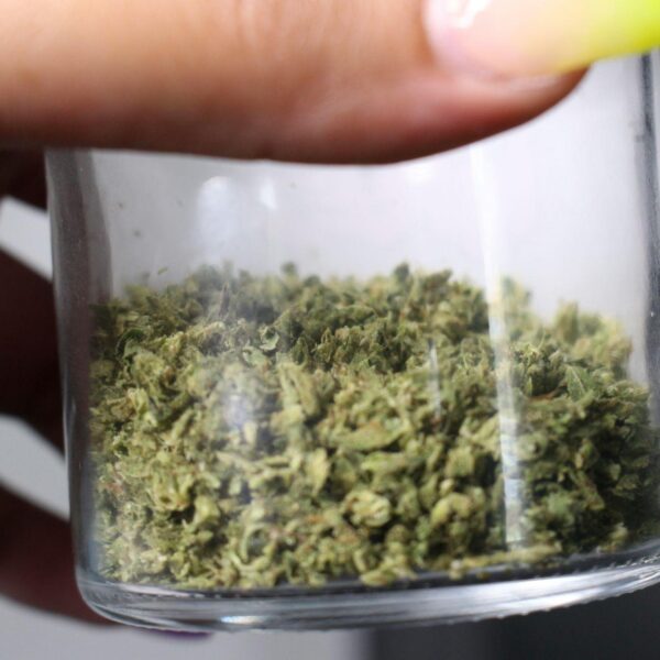 Differences Between THCA and THC