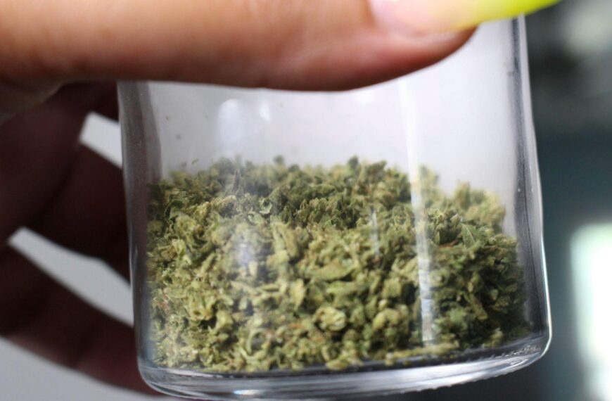 Differences Between THCA and THC