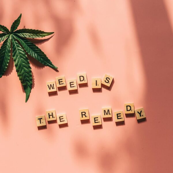 CBD and Delta-9 THC: A Holistic Approach to Wellness