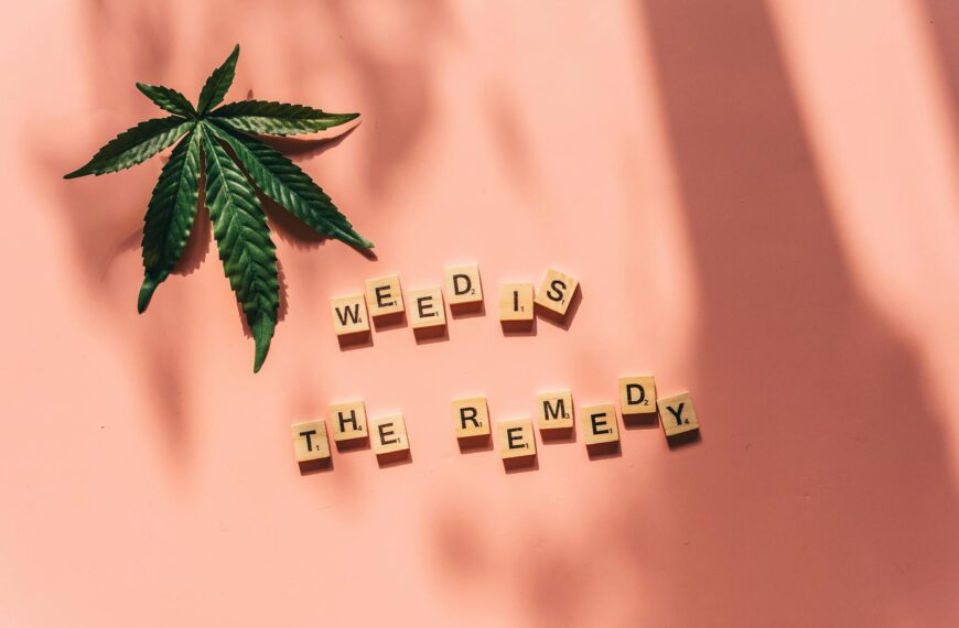 CBD and Delta-9 THC: A Holistic Approach to Wellness
