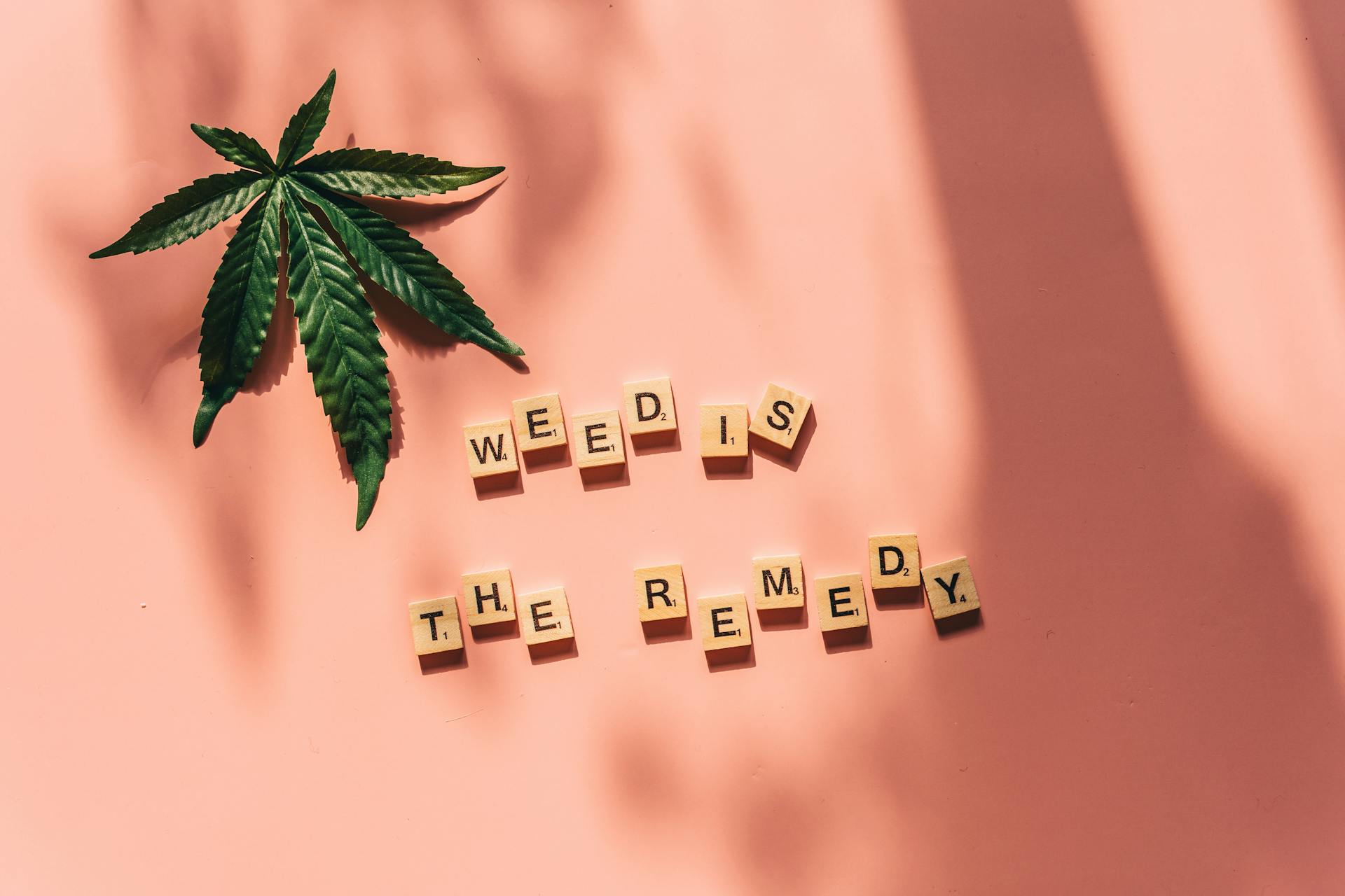 CBD and Delta-9 THC: A Holistic Approach to Wellness
