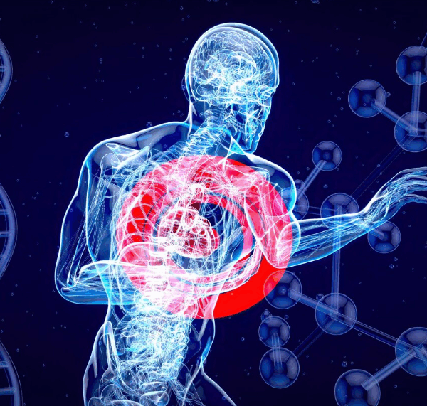 Healthy Blood Flow