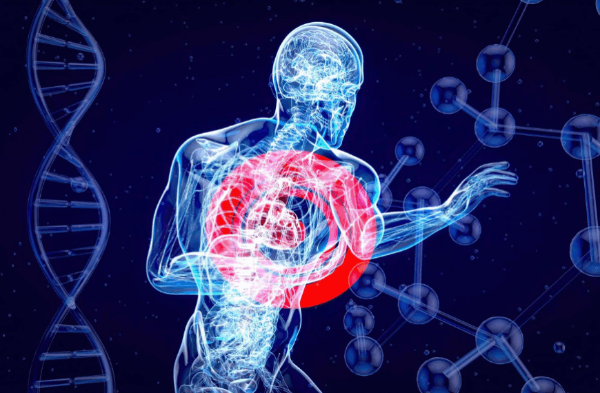 Healthy Blood Flow