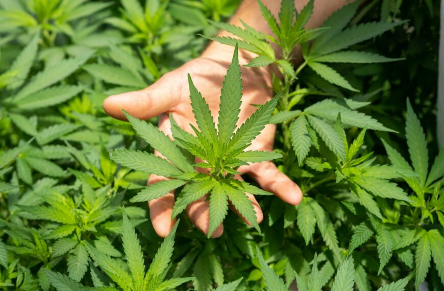 A First-Timer’s Guide to Visiting a Medical Dispensary in Florida