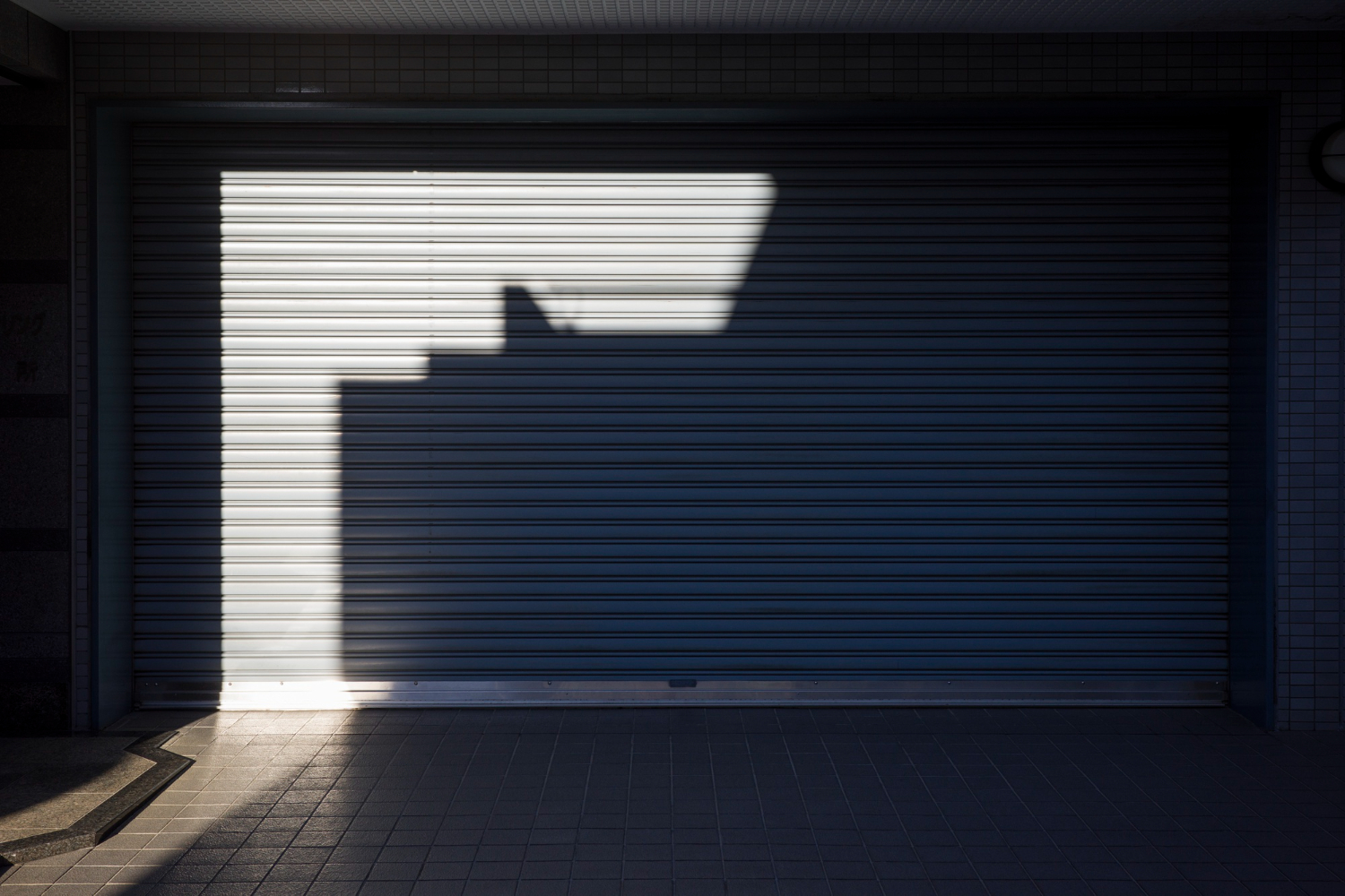 Garage Door Care